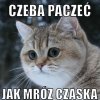Jak czeba to czeba
