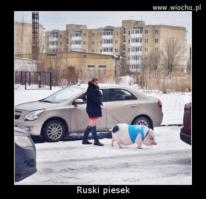 A w Rosji chyba dlatego nie mają problemu