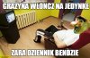 Bezrobotny beneficjent 500+