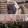 Na przykład