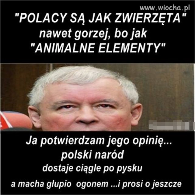 On po prostu