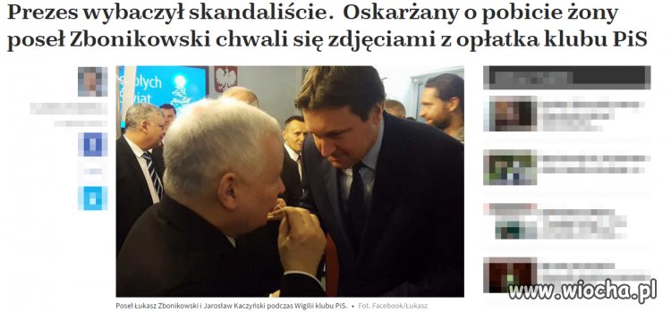 Pisowskiej mendzie