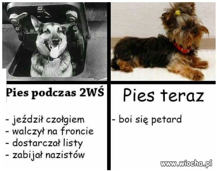 Co poszło nie tak?