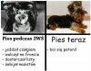Co poszło nie tak?
