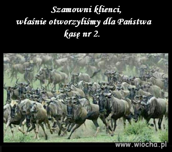 Szanowni Klienci,