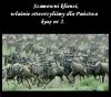 Szanowni Klienci,