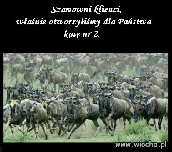 Szanowni Klienci,