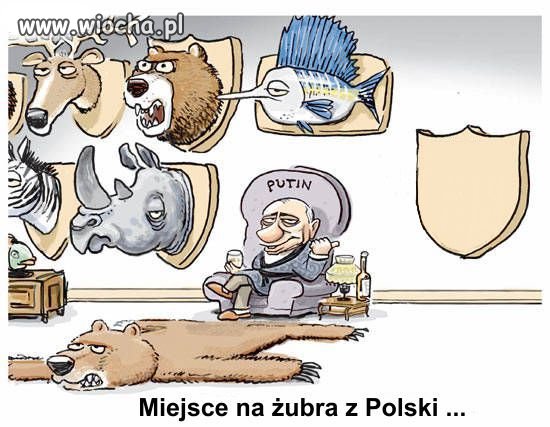 Odstrzał żubra