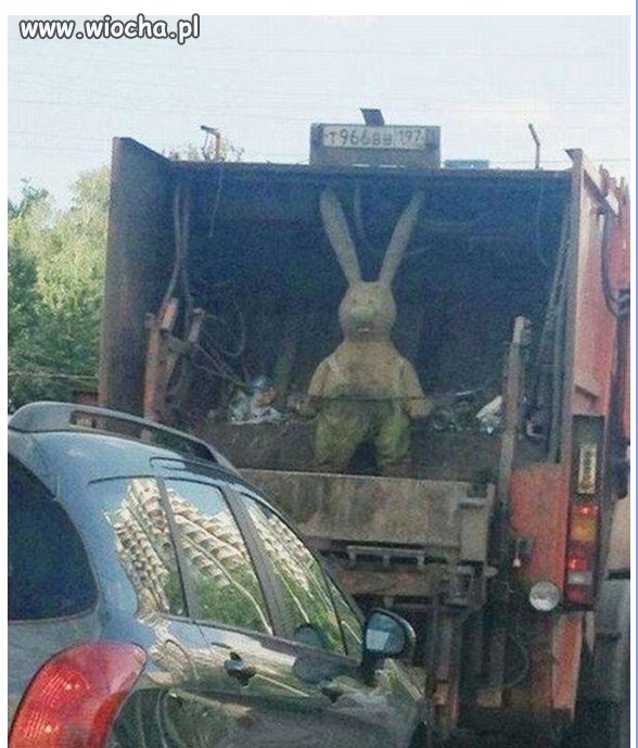Zając śmieciarz