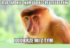 No i tyle w temacie.