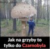 Trawa się czerwieni