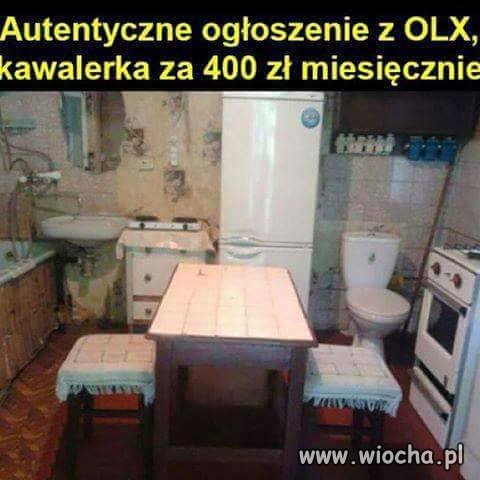 Żyć nie umierać 
