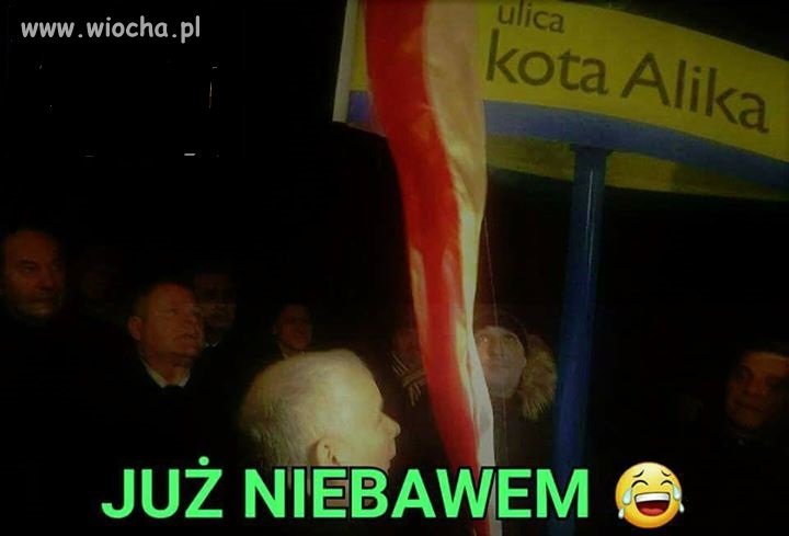Cała świta pisu zgodzi się
