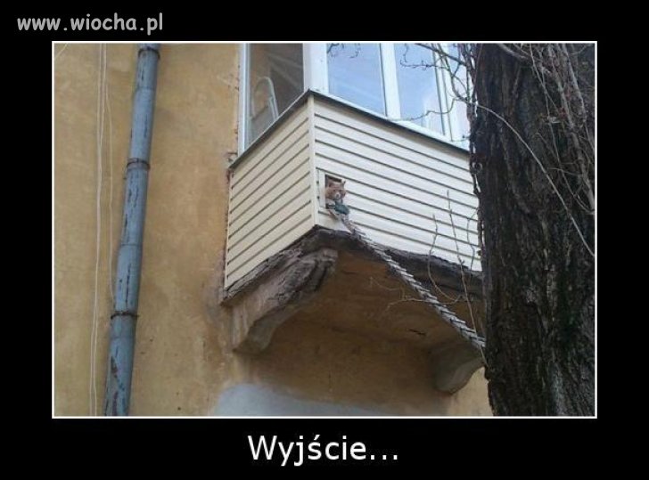 Skubany, się w życiu ustawił.