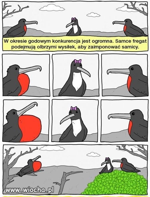Laski takie są