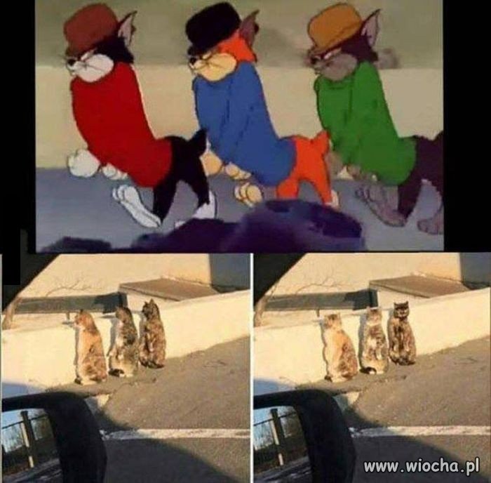 Poznajecie tę trójkę?