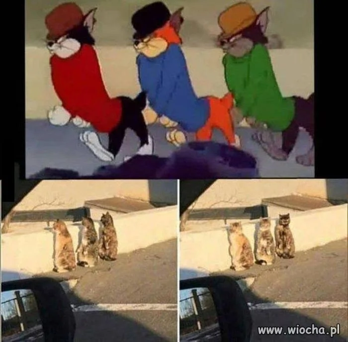 Poznajecie tę trójkę?