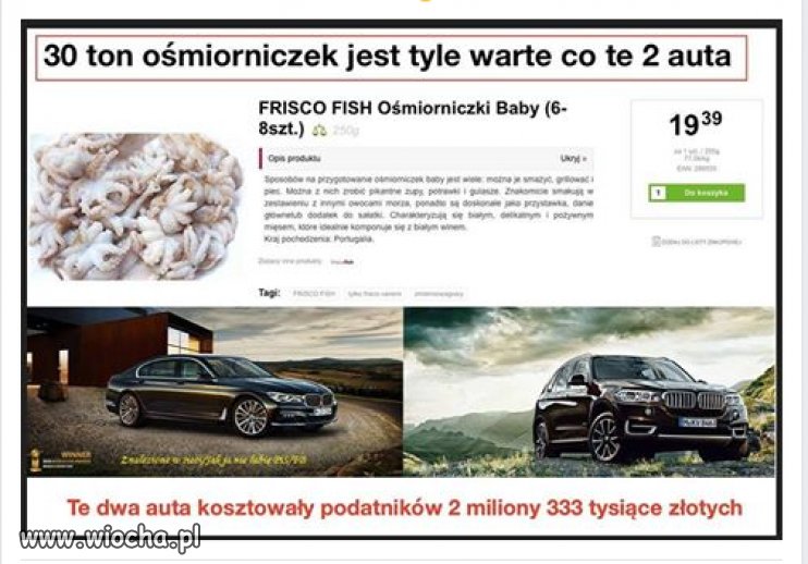 Kij tam z ośmiorniczkami