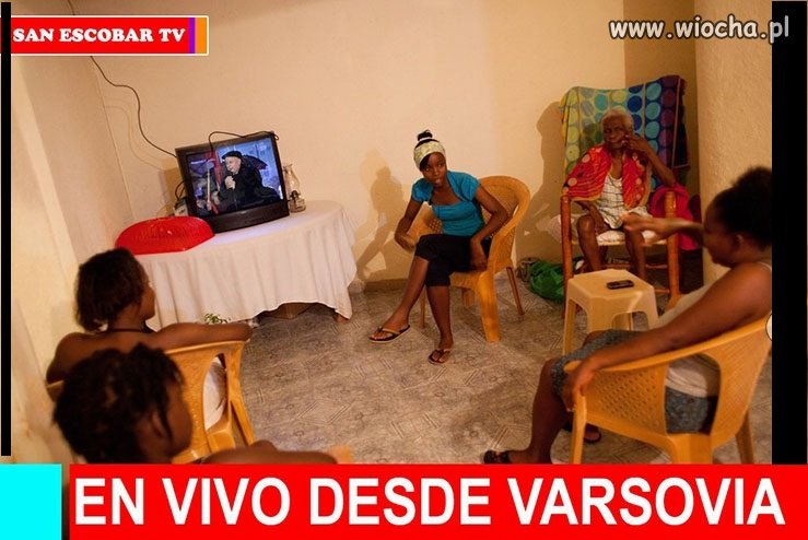 TVPiS