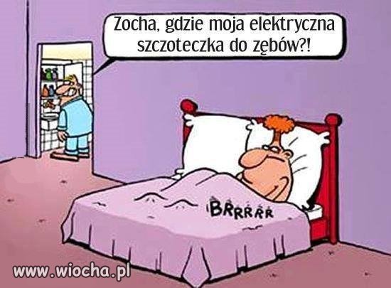 Zocha nosz kur...