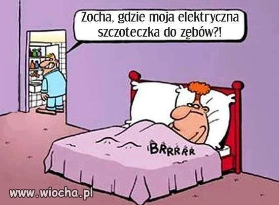 Zocha nosz kur...