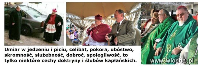 Ale w jednym się trzymają 