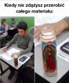 A półrocze tuż, tuż