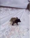 Ale żeby tak od razu obiad r...ć