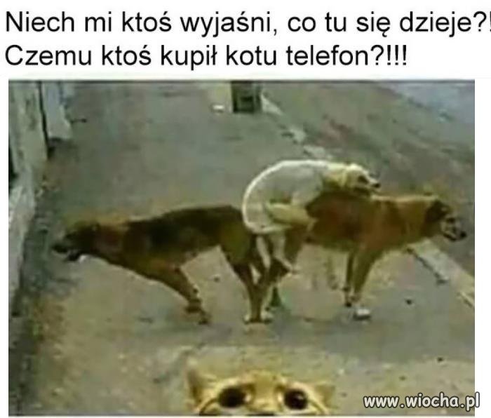 I czemu z takim słabym aparatem?