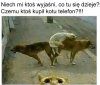 I czemu z takim słabym aparatem?