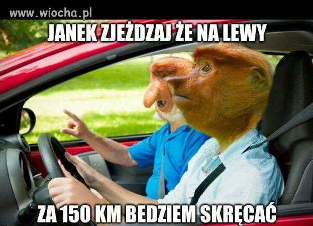 Janusze podróżowania