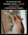 Tak samo mają koty