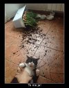 No człowiek wyluzuj, żeby tak się wkur*iać