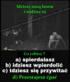 Podaj poprawna odp