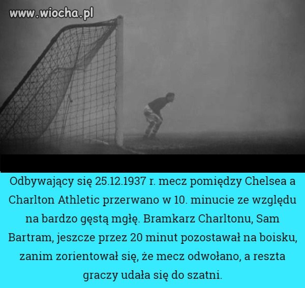 Bez komentarza 