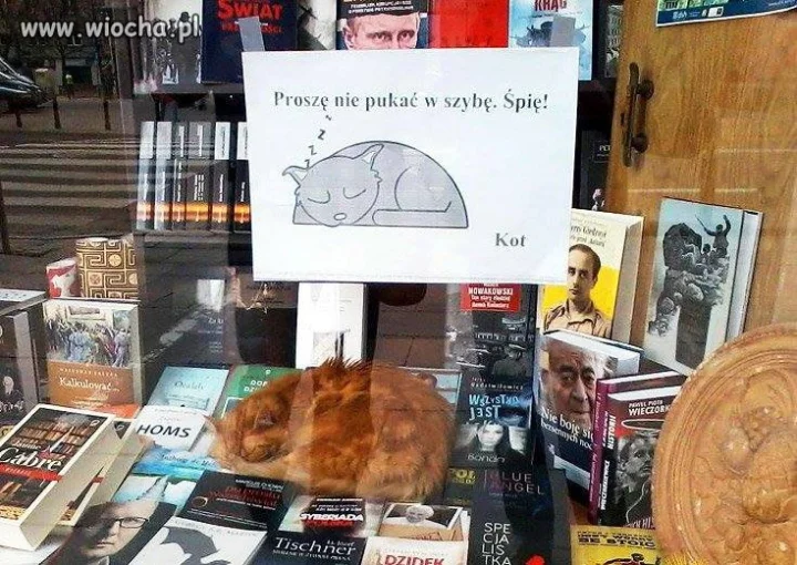 Dobry dział sobie wybrał 