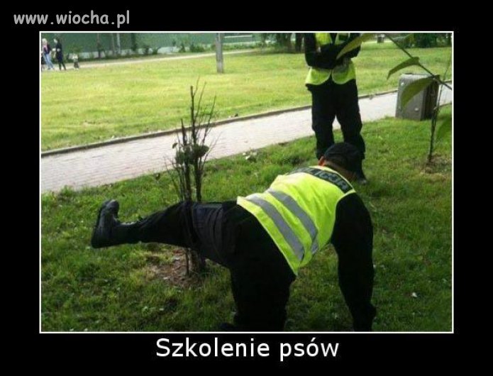 Bo mają szkoleeenia.