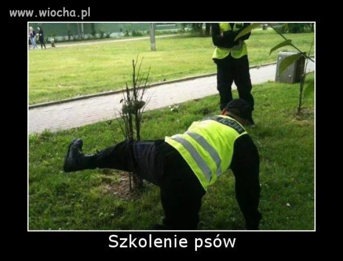 Bo mają szkoleeenia.