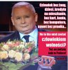 "W Sieci" zakłamania