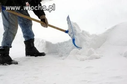 Potrzebni wolontariusze od zaraz.