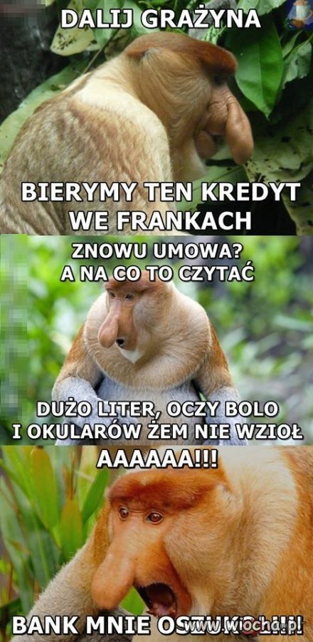 Frankowicze