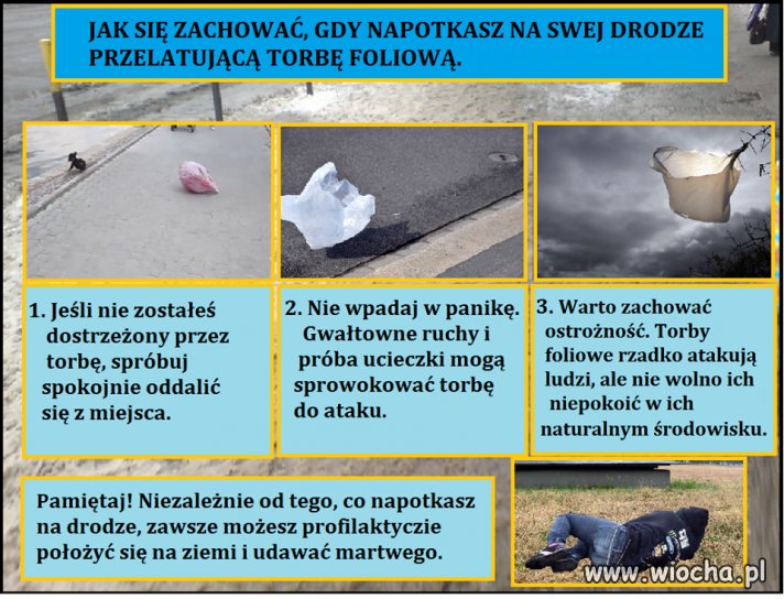 Z foliówkami nie ma żartów
