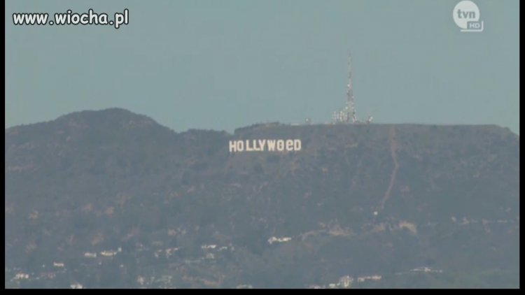 HollyWeed