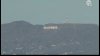 HollyWeed