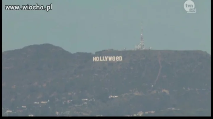 HollyWeed