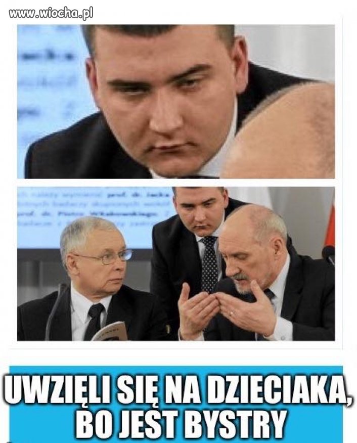 Niekończąca się opowieść o Bystrym Miśku 