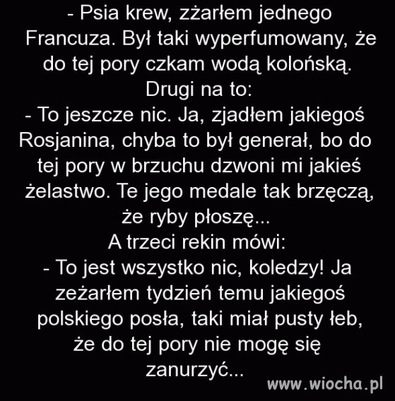 Na środku oceanu spotykają się trzy rekiny
