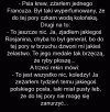 Na środku oceanu spotykają się trzy rekiny