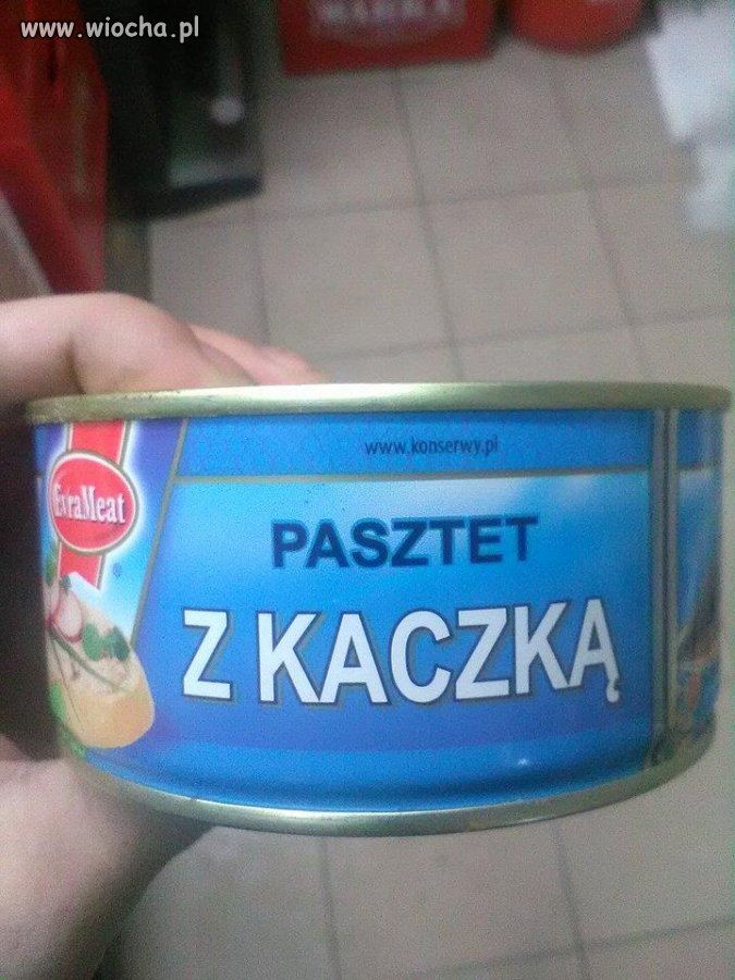 Posłanka pawłowicz