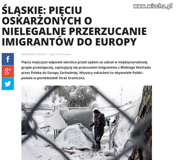 Hieny na wszystkim chcą zarobić